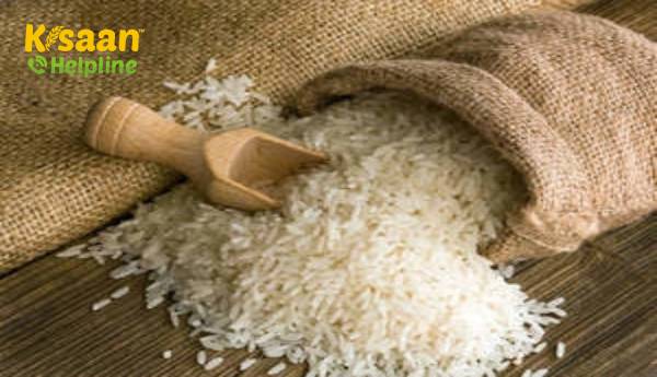 भारत से गैर-बासमती चावल का निर्यात अप्रैल-जुलाई की अवधि में 68% योग बड़ा